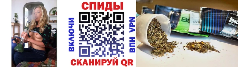 БУТИРАТ буратино  Химки 