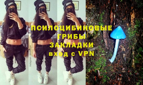 мет Козловка