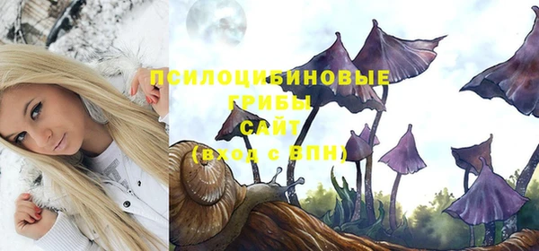 mdma Горняк