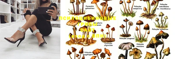 спайс Горно-Алтайск