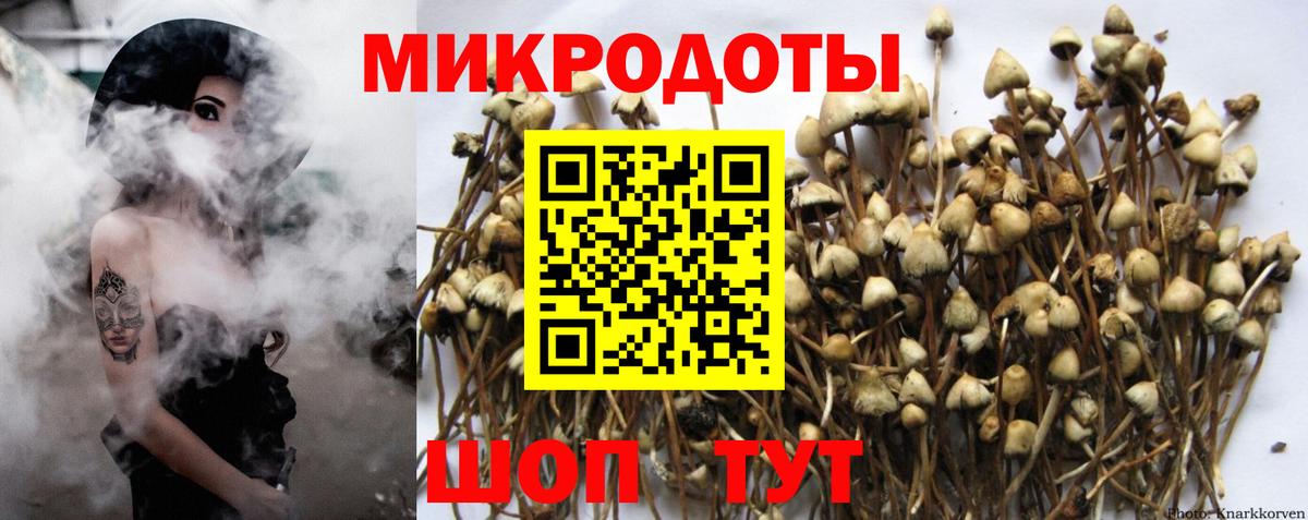 Химки  Псилоцибиновые грибы MAGIC MUSHROOMS  Вход с VPN 