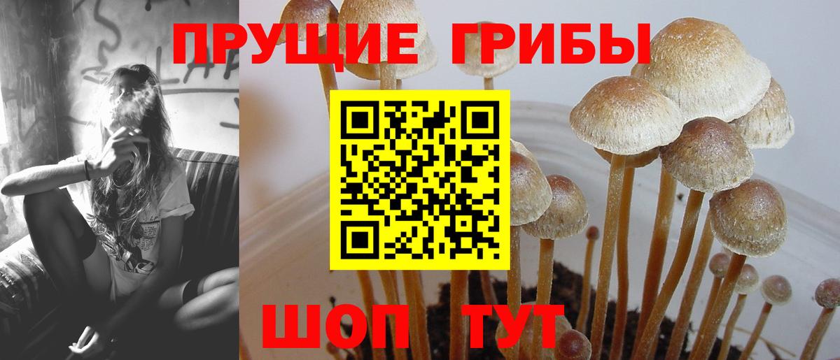 Галлюциногенные грибы Magic Shrooms Химки