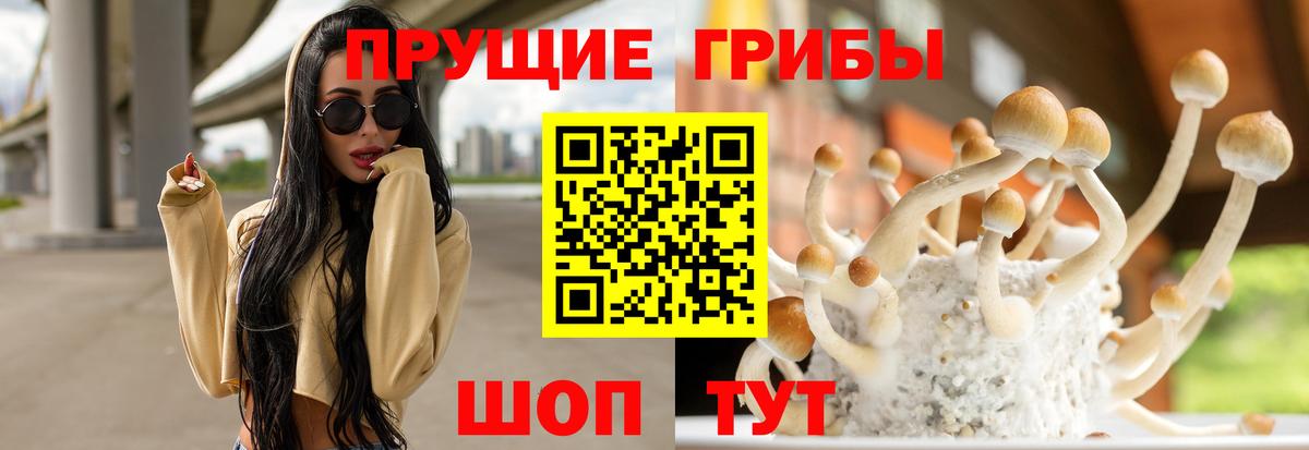 Химки  Галлюциногенные грибы прущие грибы  Галлюциногенные грибы MAGIC MUSHROOMS  закладки  Вход с VPN 